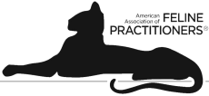 Veterinarian In Aurora & Naperville - Feline Practitioners 