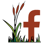ipah_facebook2
