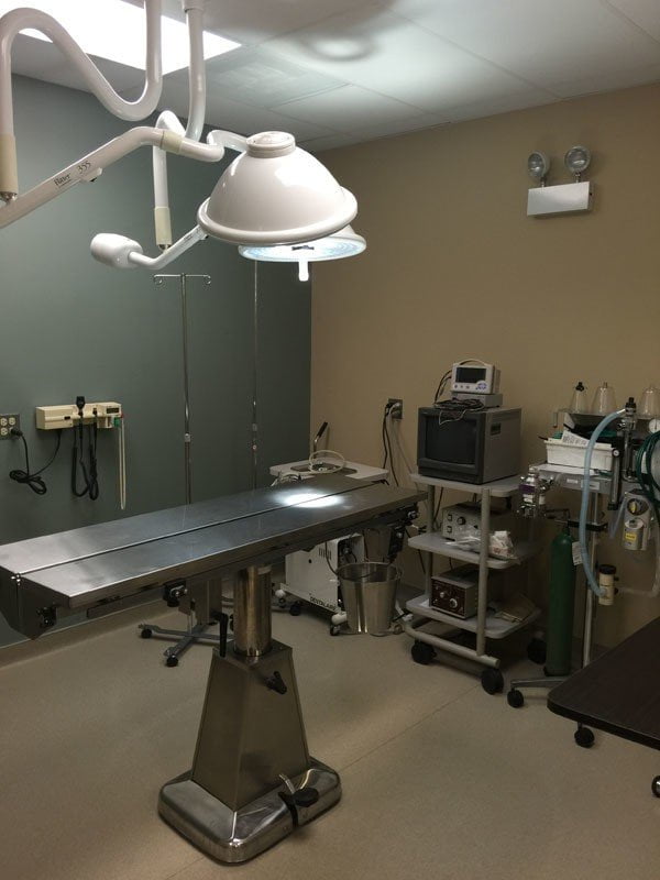 The surgery suite in Indian Prairie Animal Hospital