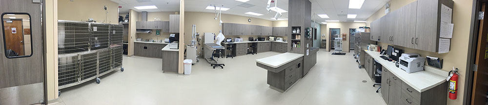 The treatment area of Indian Prairie Animal Hospital